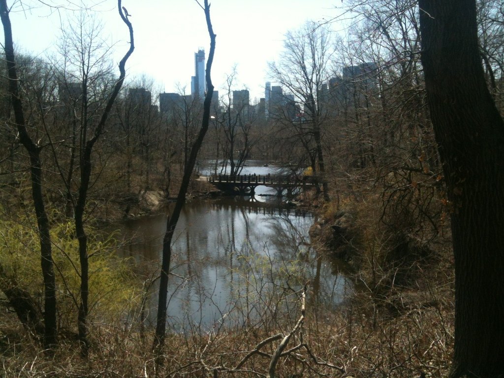 20130409-162717.jpg