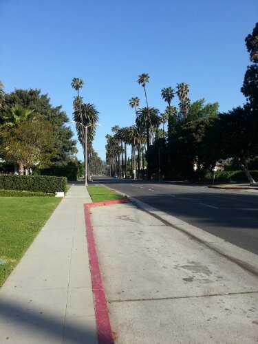 20130420_081319.jpg image